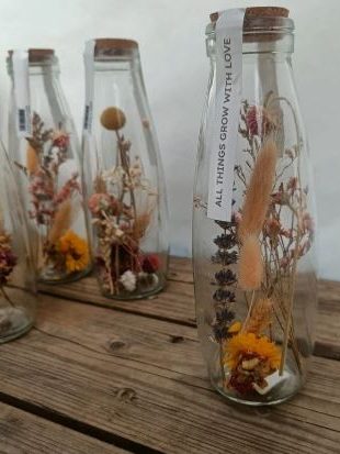 droogbloemen te huur